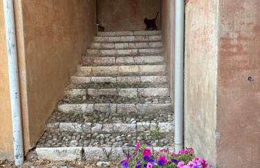 Alla vigna - Foto 8