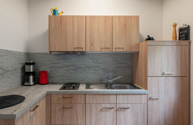 1 bedroom House in Bečov nad Teplou with garden and terrace - Photo 8