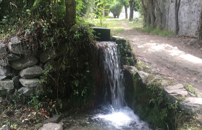 Springfield - Photo 14