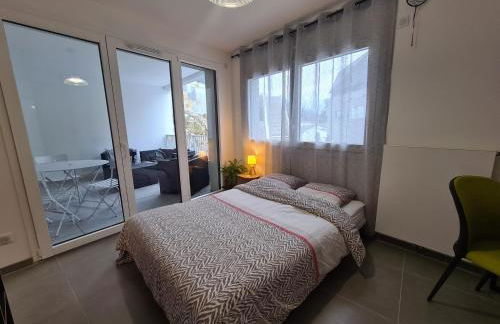 Aux Premières Loges - Vue Lac - Photo 11