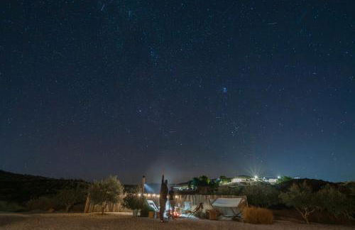 LAS DUNAS Caves - Granado - Foto 53