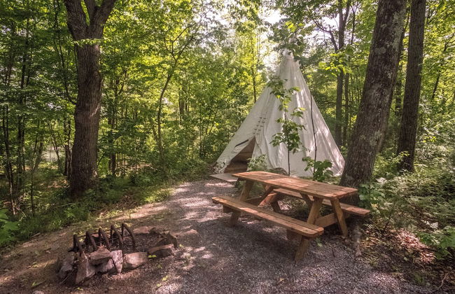 Parc Omega - Foto 57