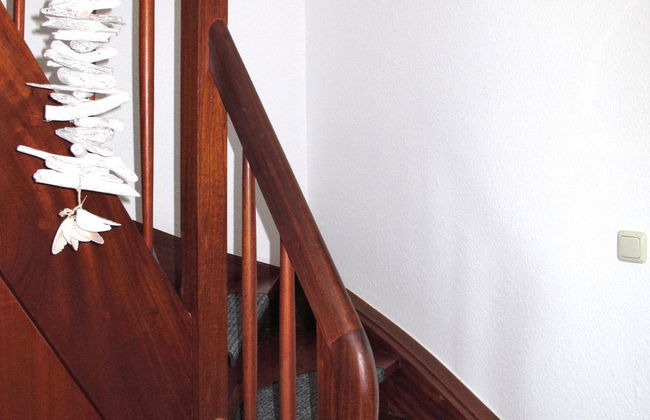 Kleine Möwe - Photo 17