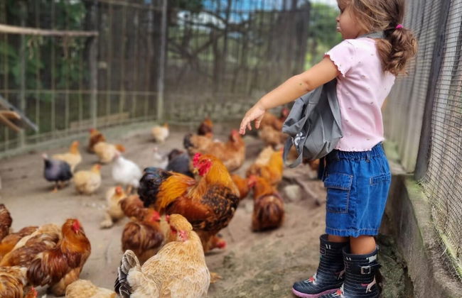 Quinta Pavo Real Complex by Acomodo - Photo 22