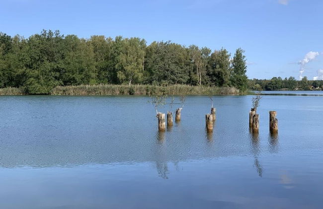 Holiday Home Seehutte - Foto 12