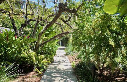 Conch in the Treetops by Last Key Realty - Foto 25