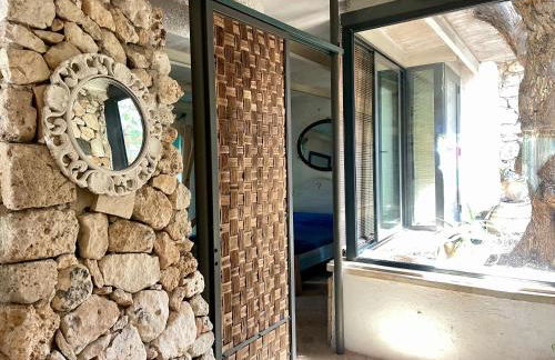 Limonaia in Salento - Foto 73