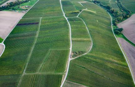 Pension Breitenauer See - Foto 104