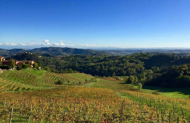 Tenuta Tenaglia - Photo 29