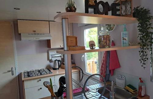 Mobile home tout confort Roman - Foto 35