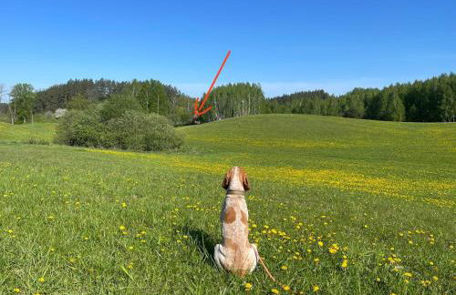 Żurawi klangor dom z sauną i jacuzzi - Foto 34