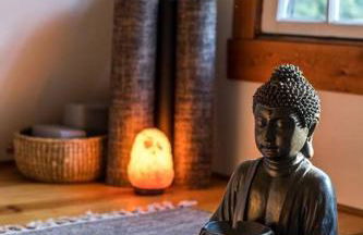 Wildland Zen Den Tiny House Retreat with Fireplace Grill AC Hammock Record Player Musical Instruments Pets OK - Foto 10