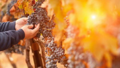 James House - Foto 3