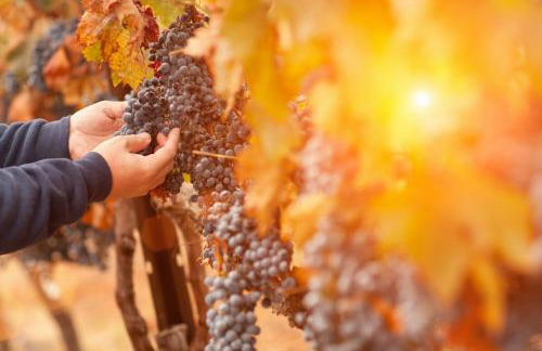 James House - Foto 3