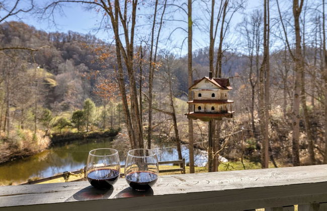 Main+guest House, Private Pond, Views, Large Yard 20mins to Heart of Asheville - Foto 44