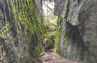 Emyda' s Tropical Home at Goldsteig trail - Foto 25