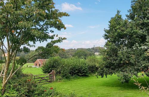 Little Forda - Foto 13