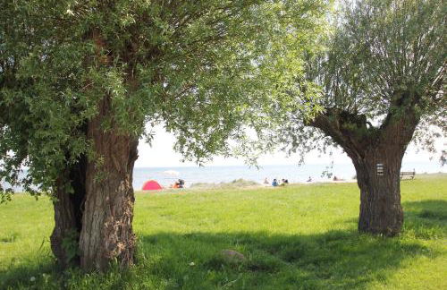 Ferienhaus Gisela Ferienwohnung Vilmblick - Photo 14