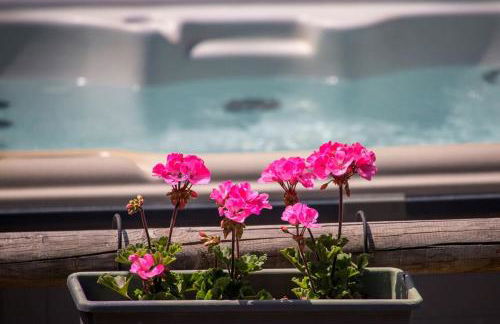 Ski Villaroger - Foto 29