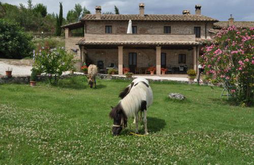 Farm stay Il Carro del Colle - Foto 17