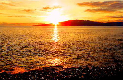 Casa do Cais - Photo 19