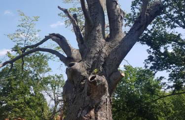 Ferienhaus Renate 7 - Foto 16