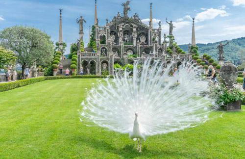 Attico VistaLago - Centro città Verbania - Foto 23