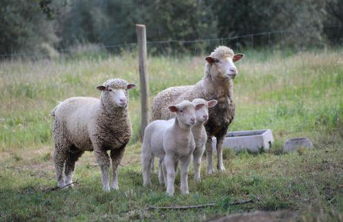 A Casa do Governador - Foto 64