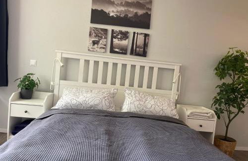 Ferienwohnung in Freudenstadt-Kniebis I, Schwarzwald - Foto 12