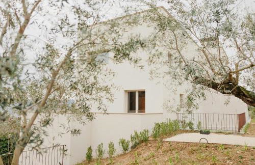 Modern House Among Spoltore Olive Trees - Foto 33