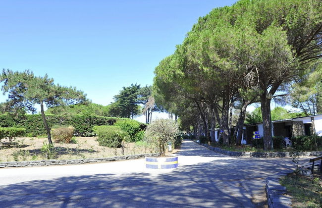 New Apartment in Baia Domzia Near the sea - Photo 31