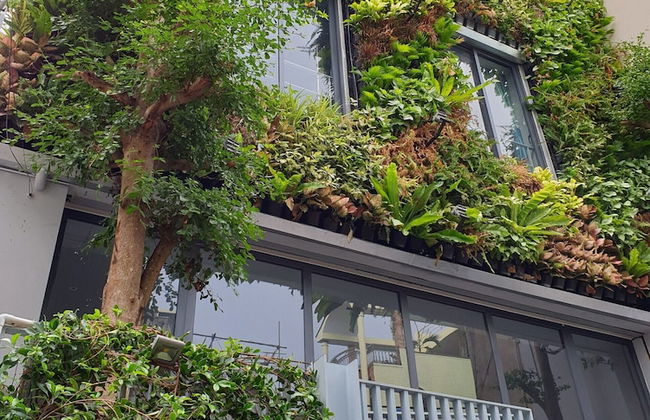 Tripporo - Homestay - Foto 23