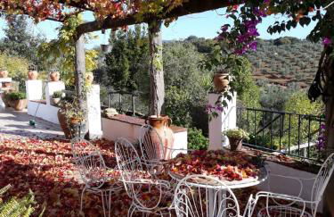 Villa Botero - Foto 35