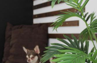 Casa Mari Carmen - Foto 22