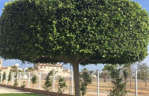 Lovely bungalow with two big terrasses - Foto 27