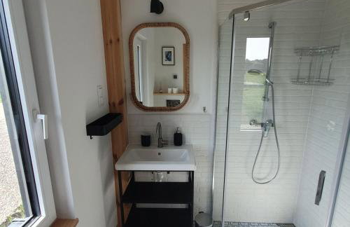 Bujanie w sitowiu - Foto 37