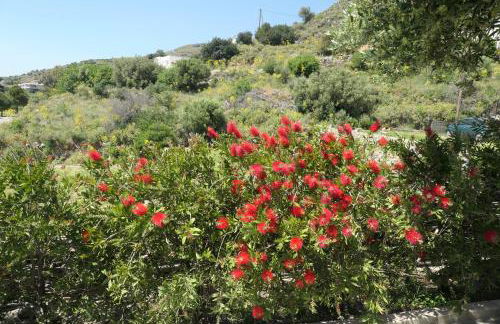 Thalassa Villa - Photo 69