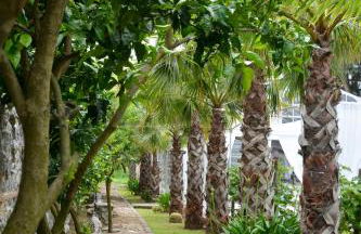 Tenuta Oliva - Foto 32