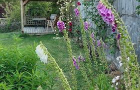 Mallows Byre Yetminster - Foto 14