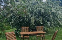 Zum Edelhof 24 - Foto 16