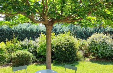 GITE AUX 4 SAISONS DU COLORADO PROVENÇAL - 3 ÉTOILES - Rustrel - Foto 48