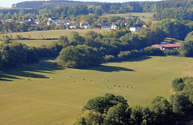 Chalet in Gerolstein Near Forest Trails - Foto 25