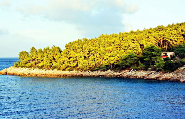 Apartments Sunset - Two Bedroom Apartment With Terrace and Sea View - Photo 44