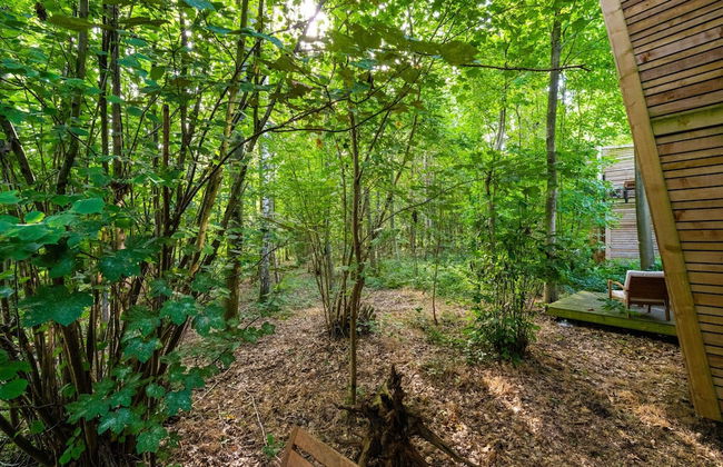 Woodland Serenity Retreat - Photo 31