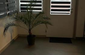 Ferienwohnung Florentina - Foto 3