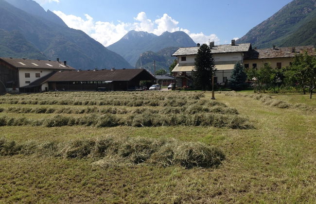 Agriturismo La Grange - Foto 50