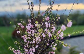 Zaczarowane Wzgórze - Domek w Beskidach - Foto 4