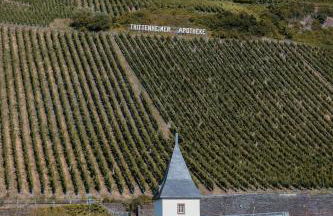 Moselhaus by Clüsserath-Wittmann - Foto 8