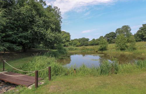 Swan Lodge - Photo 35