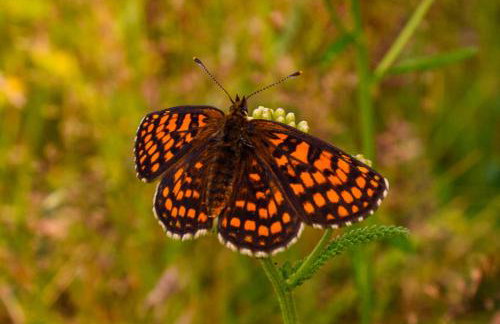 Apartamenty na Wzgórzu Boho 1- Jacuzzi, sauna, survival, free parking - Foto 34